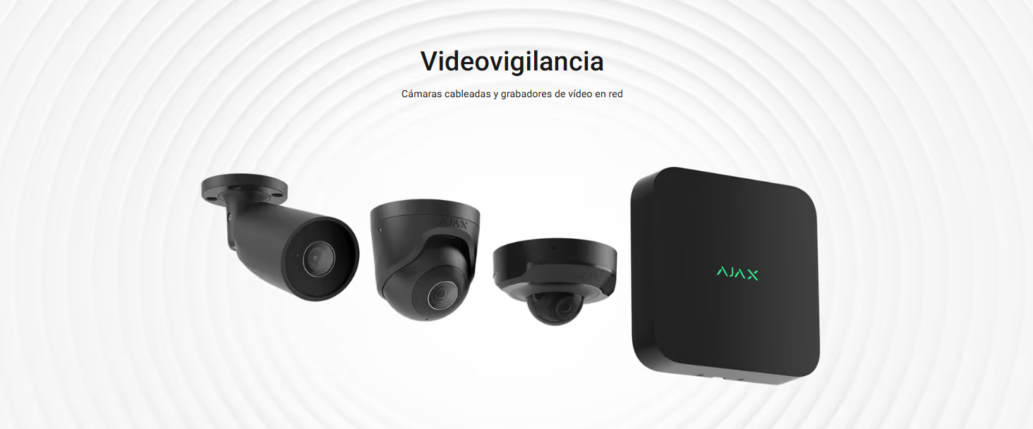 videovigilancia web
